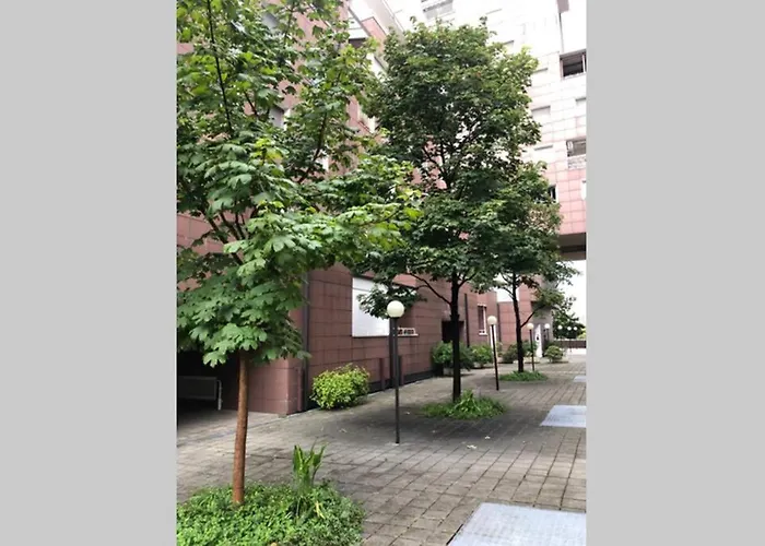 In Milan - Bicocca Near University